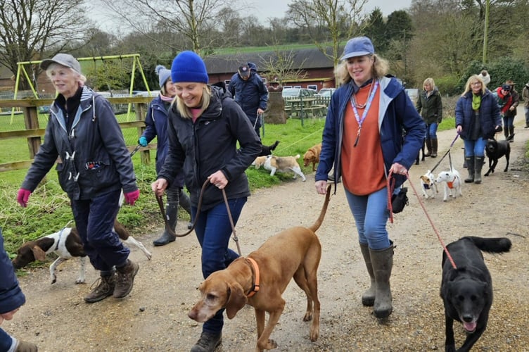 Dog walkers, Bighton, March 2024.