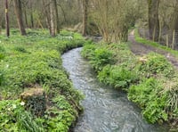 River Wey full of 'pooh sticks' after Easter Sunday sewage discharges