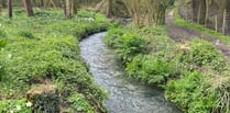 River Wey full of 'pooh sticks' after Easter Sunday sewage discharges