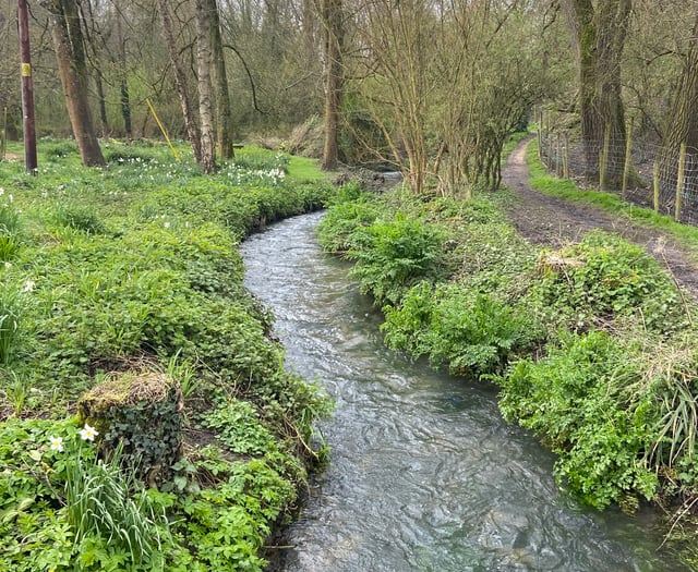 River Wey full of 'pooh sticks' after Easter Sunday sewage discharges