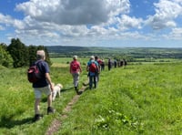 Twelfth year of Alton's popular walking festival to kick off this May