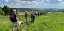 Twelfth year of Alton's popular walking festival to kick off this May