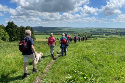Twelfth year of Alton's popular walking festival to kick off this May