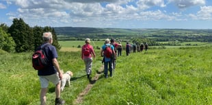 Twelfth year of Alton's popular walking festival to kick off this May