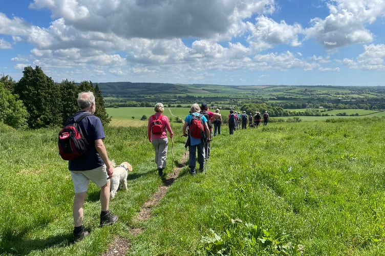 An Alton Walking Festival walk near West Meon.