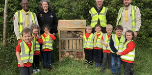 Councillor opens Squirrels' bug hotel in Bentley