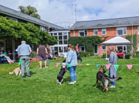 Barking good fun as care home to hold dog show