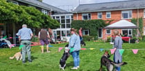 Barking good fun as care home to hold dog show