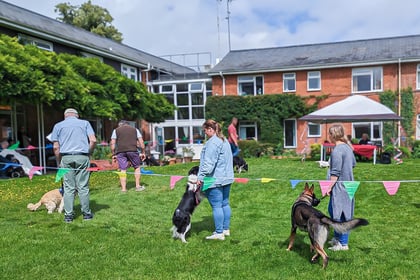 Barking good fun as care home to hold dog show