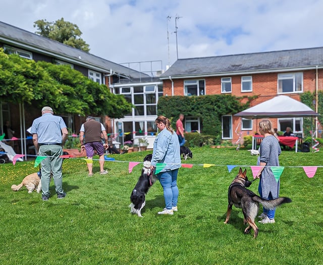 Barking good fun as care home to hold dog show