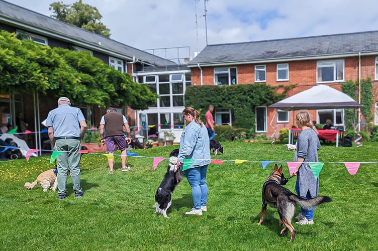 Dog Show The Lawn Holybourne