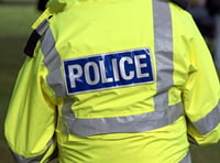 Appeal launched following attempted break-in