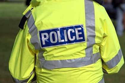 Appeal launched following attempted break-in
