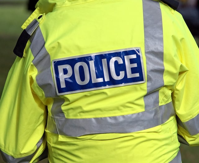 Appeal launched following attempted break-in