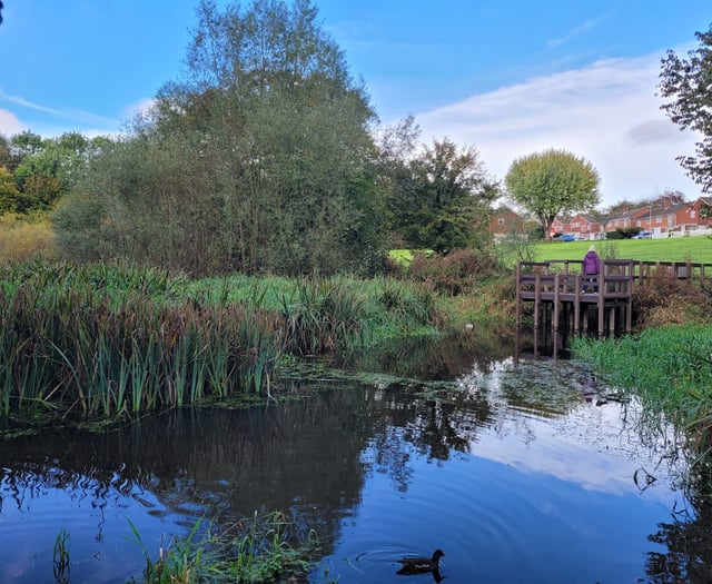 Chance to do conservation work at Flood Meadows in Alton