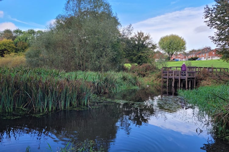 Flood Meadows Alton