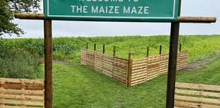 Meon Valley estate is top of the crops as maze opens