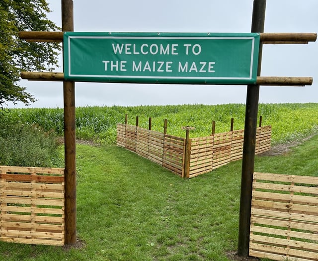 Meon Valley estate is top of the crops as maze opens