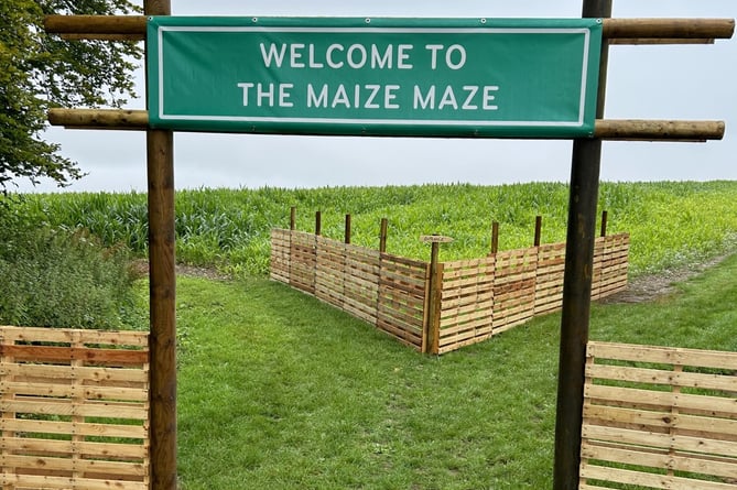 Maize Maze Bereleigh Estate East Meon