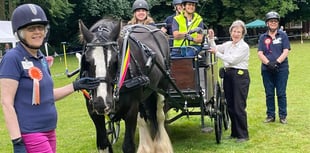 Mountaineer is ride on time as equine charity holds open event