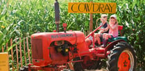 Cowdray’s Maize Maze: A must-visit summer attraction