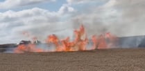 Fields of fire as crews battle blaze at Medstead farm