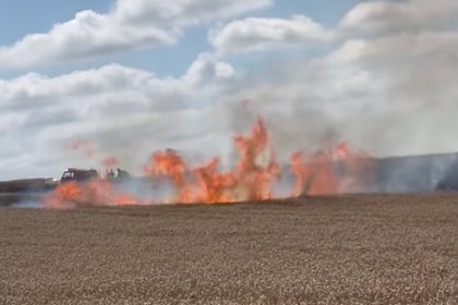 Fields of fire as crews battle blaze at Medstead farm