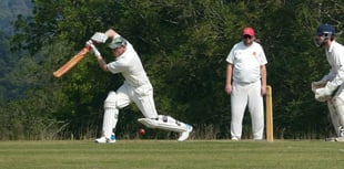 Brewer hits half-century but Waverley slip to defeat