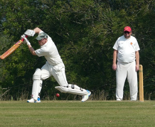 Brewer hits half-century but Waverley slip to defeat