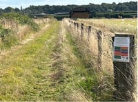 New signs celebrate Surrey Hills’ invertebrate wonders