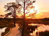 Britain’s favourite path now part of a major new nature reserve