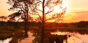 Popular local boardwalk voted as Britain's Favourite Path 