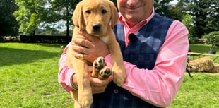 Alton puppy Titch joins Alan Titchmarsh for second TV appearance