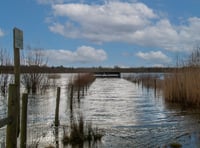 Volunteers contribute record 7,200 hours at Tice’s Meadow in 2024