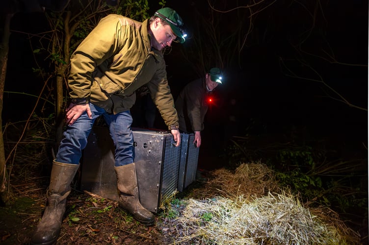 Farmers Will and Oliver Atkinson release beavers to help nature recovery. Taken by Andy Reeves.